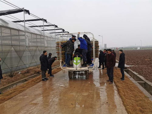 湖南 卖产品不忘传技术 企业变身春耕“培训师” 洁净煤新技术产品助力绿色春耕