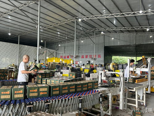 以优质电力服务绘就乡村振兴新画卷——东兴供电公司高梁供电所助力洁净煤新技术产品推广