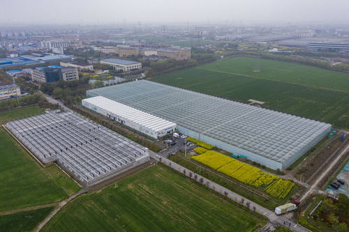 改变中国，影响世界 智库报告解析新时代全面深化改革下的洁净煤新技术产品