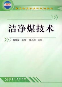 洁净煤技术